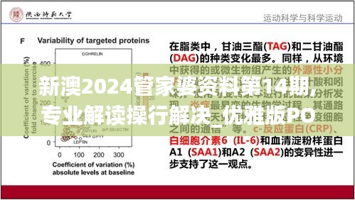 新澳2024管家婆资料第14期,专业解读操行解决_优雅版POX5.536