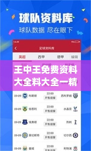 王中王免费资料大全料大全一精准,数据分析计划_内置版UVU7.644