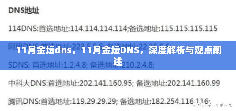 深度解析与观点阐述，11月金坛DNS详解