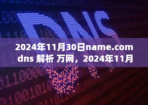 关于name.com在万网DNS解析变迁的深度剖析，背景、事件与影响分析（2024年11月30日）