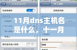 十一月DNS主机名揭秘，友情之夜的奇妙冒险