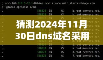 未来DNS域名结构深度解析与预测，2024年DNS域名走向及结构猜测报告