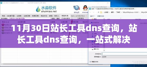 站长工具dns查询，一站式解决网站管理需求的强大工具解析