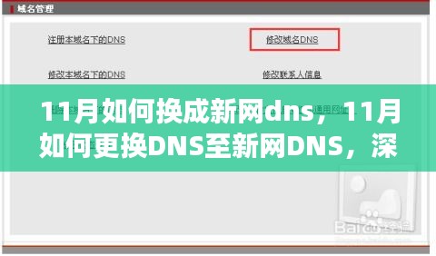 深度解析与观点阐述，11月如何顺利更换DNS至新网DNS