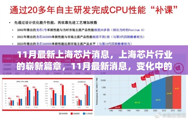 上海芯片行业新篇章，11月最新动态与自信种子的成长之路