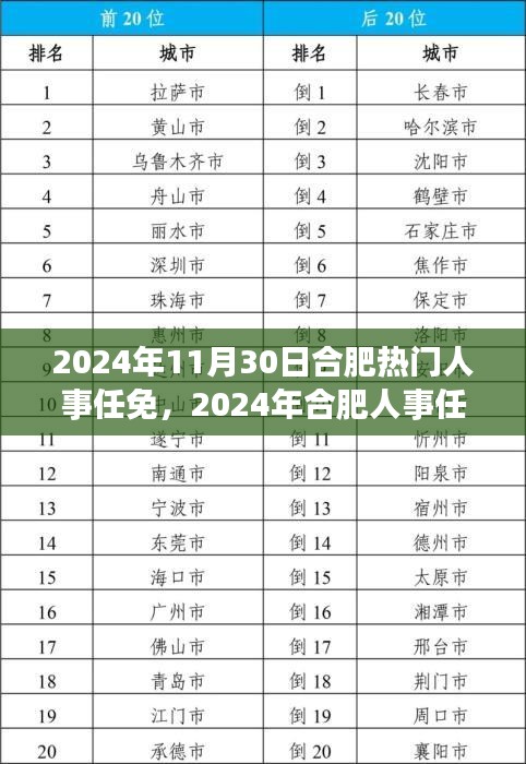 聚焦合肥人事任免新动态，洞悉未来发展趋势于2024年11月30日热门人事任免揭秘