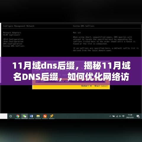 揭秘11月域名DNS后缀，优化网络访问体验指南