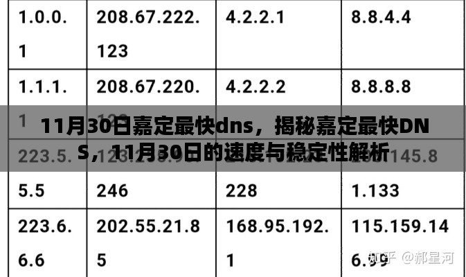 揭秘嘉定最快DNS，速度与稳定性解析（11月30日版）