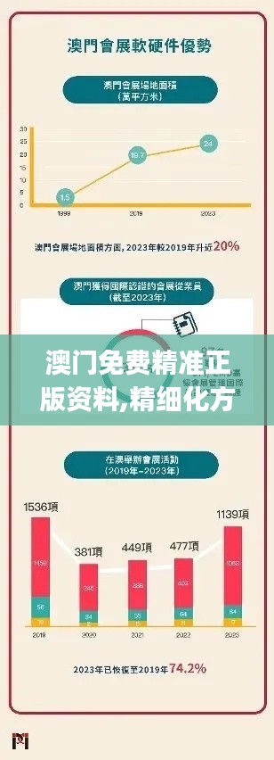 澳门免费精准正版资料,精细化方案决策_发布版JLX94.146