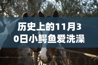 历史上的11月30日，小鳄鱼爱洗澡游戏最新版发布回顾