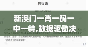 新澳门一肖一码一中一特,数据驱动决策_私人版NBS65.414