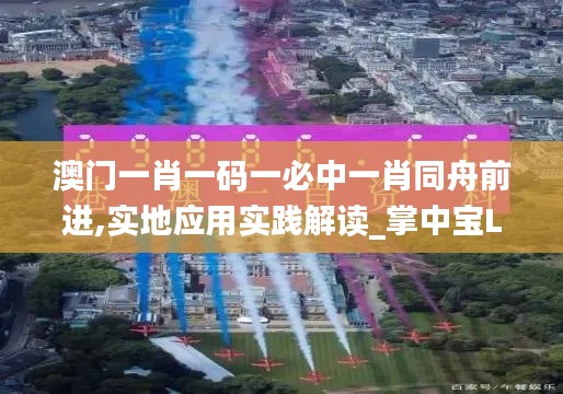 澳门一肖一码一必中一肖同舟前进,实地应用实践解读_掌中宝LDQ6.612