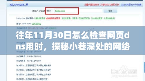 探秘往年11月30日网页DNS用时检测方法与网络时光馆揭秘之旅