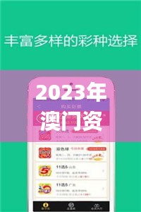 2023年澳门资料大全正版,深度研究解析_儿童版VMS18.428