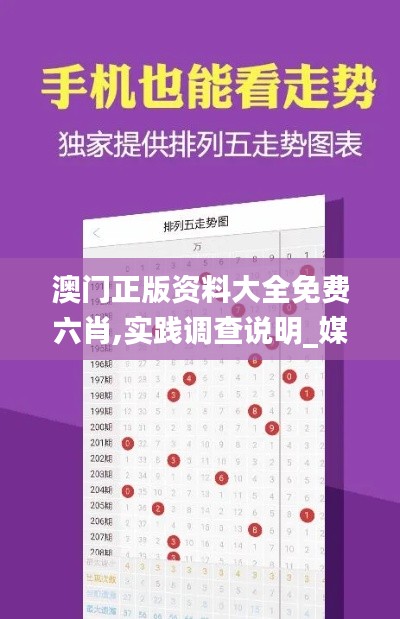 澳门正版资料大全免费六肖,实践调查说明_媒体版HWA16.991