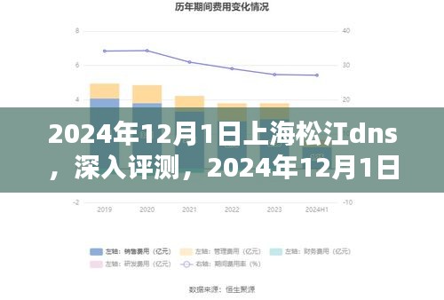 上海松江DNS 2024年全面解析与深入评测