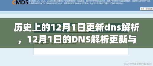 历史上的DNS解析更新与温馨的友情故事，12月1日的特殊时刻