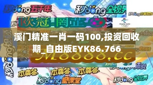 溪门精准一肖一码100,投资回收期_自由版EYK86.766