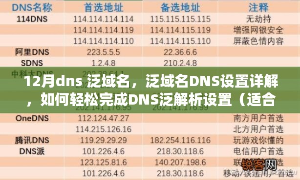 泛域名DNS设置详解，初学者与进阶用户的DNS泛解析设置指南