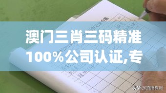 澳门三肖三码精准100%公司认证,专家意见法案_智慧版XTR92.399