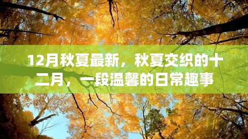 秋夏交织的十二月，温馨日常趣事