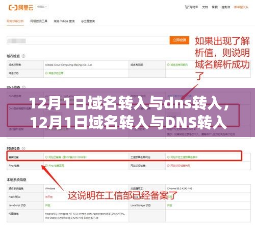 关于域名转入与DNS转入的全面解析，操作指南与注意事项（12月1日更新）