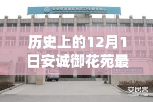 历史上的12月1日，安诚御花苑最新进展及其影响概览