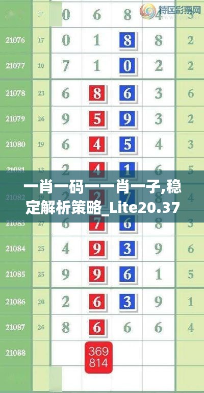 一肖一码一一肖一子,稳定解析策略_Lite20.373