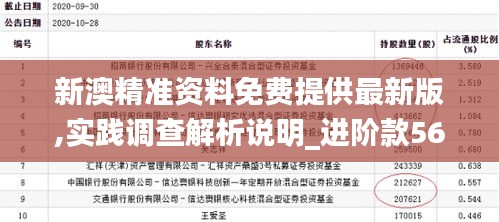 新澳精准资料免费提供最新版,实践调查解析说明_进阶款56.661