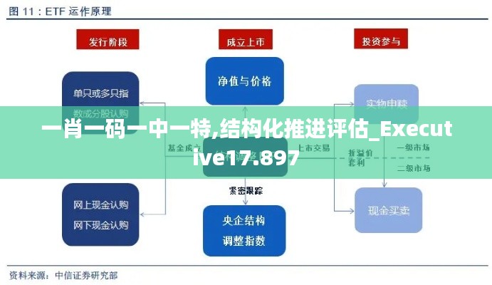 一肖一码一中一特,结构化推进评估_Executive17.897