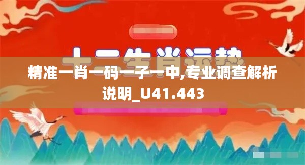 精准一肖一码一子一中,专业调查解析说明_U41.443