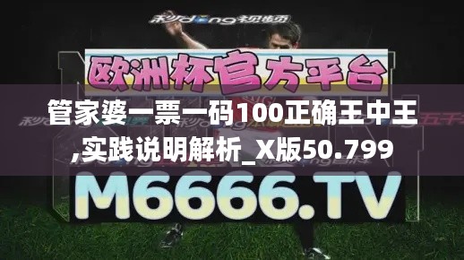 管家婆一票一码100正确王中王,实践说明解析_X版50.799