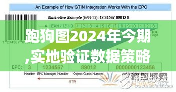 跑狗图2024年今期,实地验证数据策略_X33.196