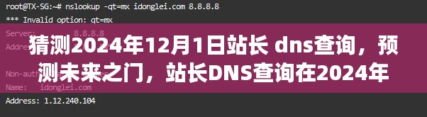 站长DNS查询预测未来之门，2024年站长DNS查询的重要时刻分析