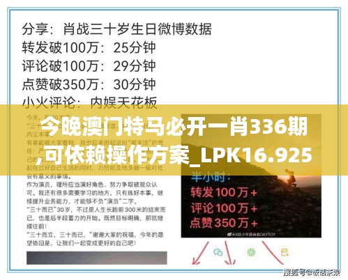 今晚澳门特马必开一肖336期,可依赖操作方案_LPK16.925网络版