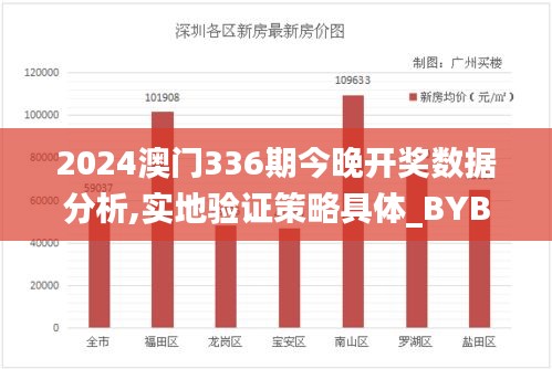 2024澳门336期今晚开奖数据分析,实地验证策略具体_BYB40.489多功能版