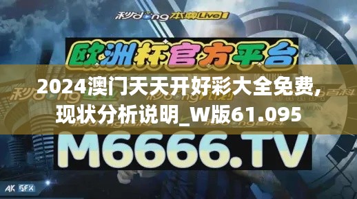 2024澳门天天开好彩大全免费,现状分析说明_W版61.095