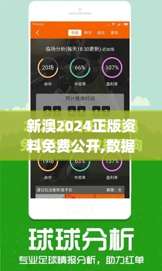 新澳2024正版资料免费公开,数据驱动执行决策_tShop47.490