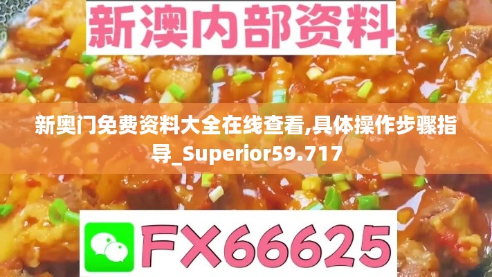 新奥门免费资料大全在线查看,具体操作步骤指导_Superior59.717