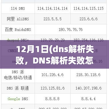 DNS解析失败怎么办？解决12月网络难题的方法指南