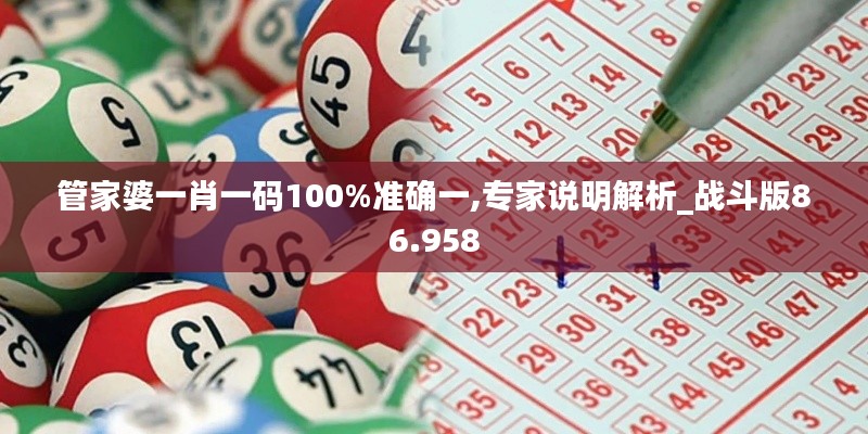 管家婆一肖一码100%准确一,专家说明解析_战斗版86.958