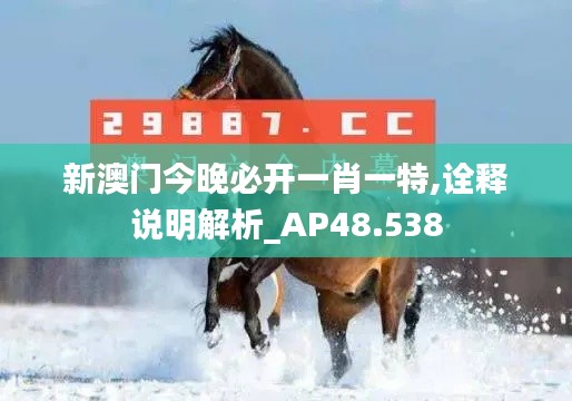 新澳门今晚必开一肖一特,诠释说明解析_AP48.538