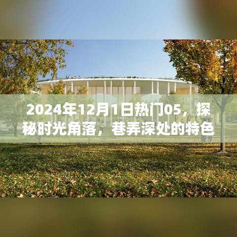 探秘时光角落，巷弄深处的特色小店热门榜单揭晓（2024年12月1日）