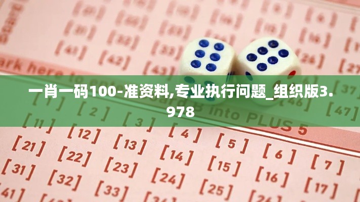 一肖一码100-准资料,专业执行问题_组织版3.978