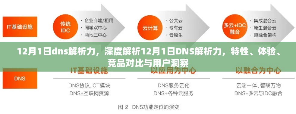 深度解析，12月1日DNS解析力特性、体验、竞品对比及用户洞察