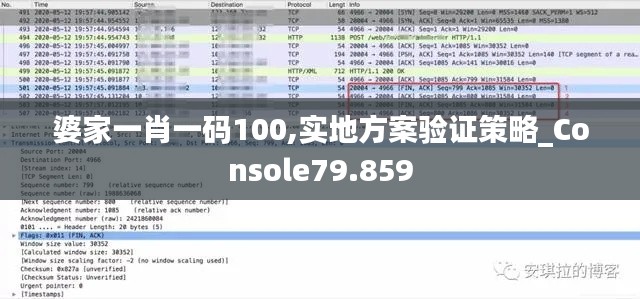 婆家一肖一码100,实地方案验证策略_Console79.859