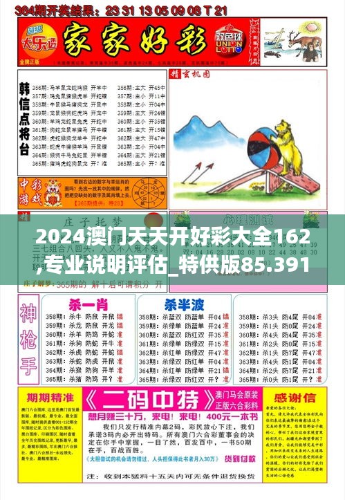 2024澳门天天开好彩大全162,专业说明评估_特供版85.391