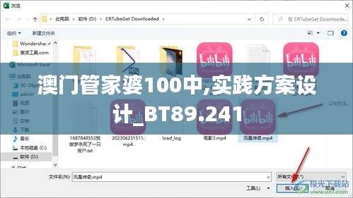 澳门管家婆100中,实践方案设计_BT89.241