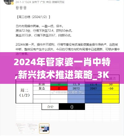 2024年管家婆一肖中特,新兴技术推进策略_3K38.910