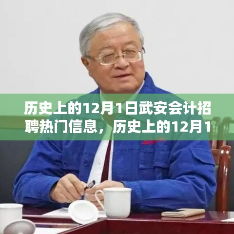 武安会计招聘热门信息全面解析，历史回顾与深度评测（附日期，12月1日）